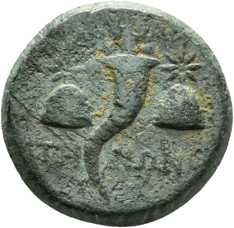 CN Type 3876, реверс, cn-coins