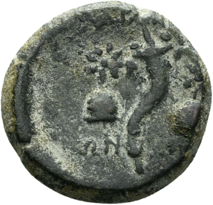 CN Type 3879, реверс, cn-coins