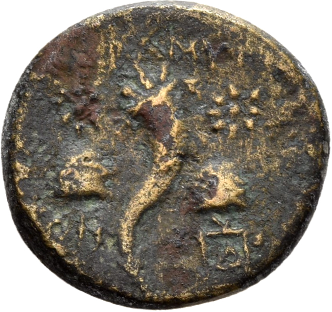 reverse CN Type 3879