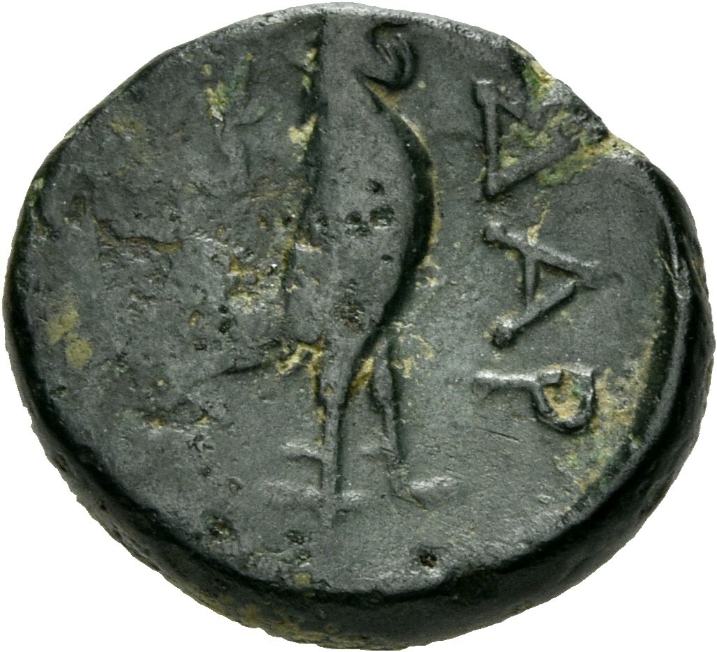 reverse CN Type 3874