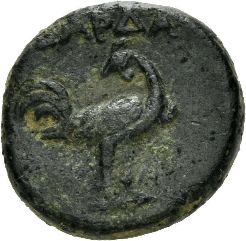 reverse CN Type 3899