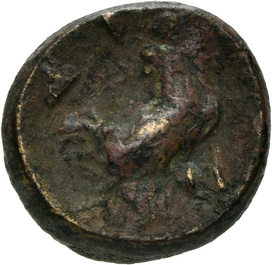 reverse CN Type 3900