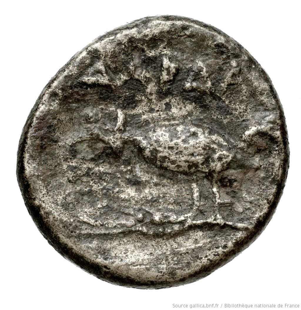CN Type 3929, реверс, cn-coins