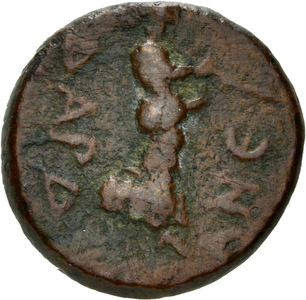 reverse CN Type 3985