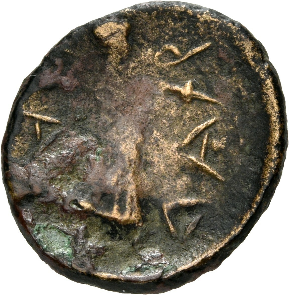 reverse CN Type 3984
