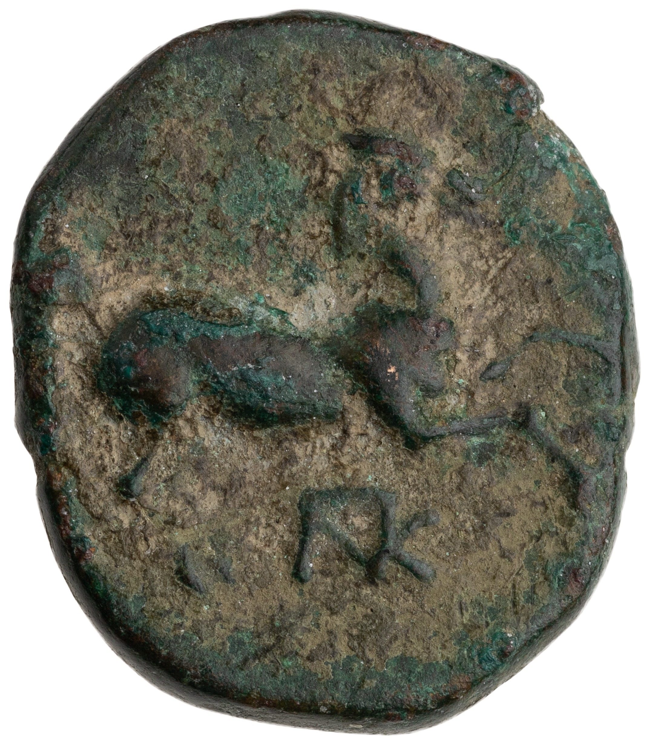 CN Type cn.maroneia.1_ed.228, аверс, cn-coins