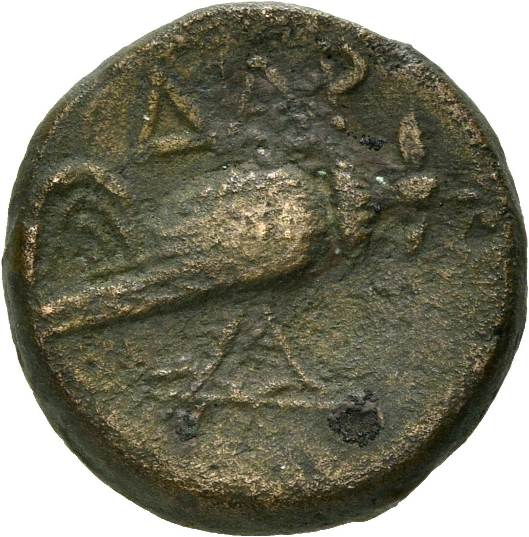 CN Type 3939, реверс, cn-coins