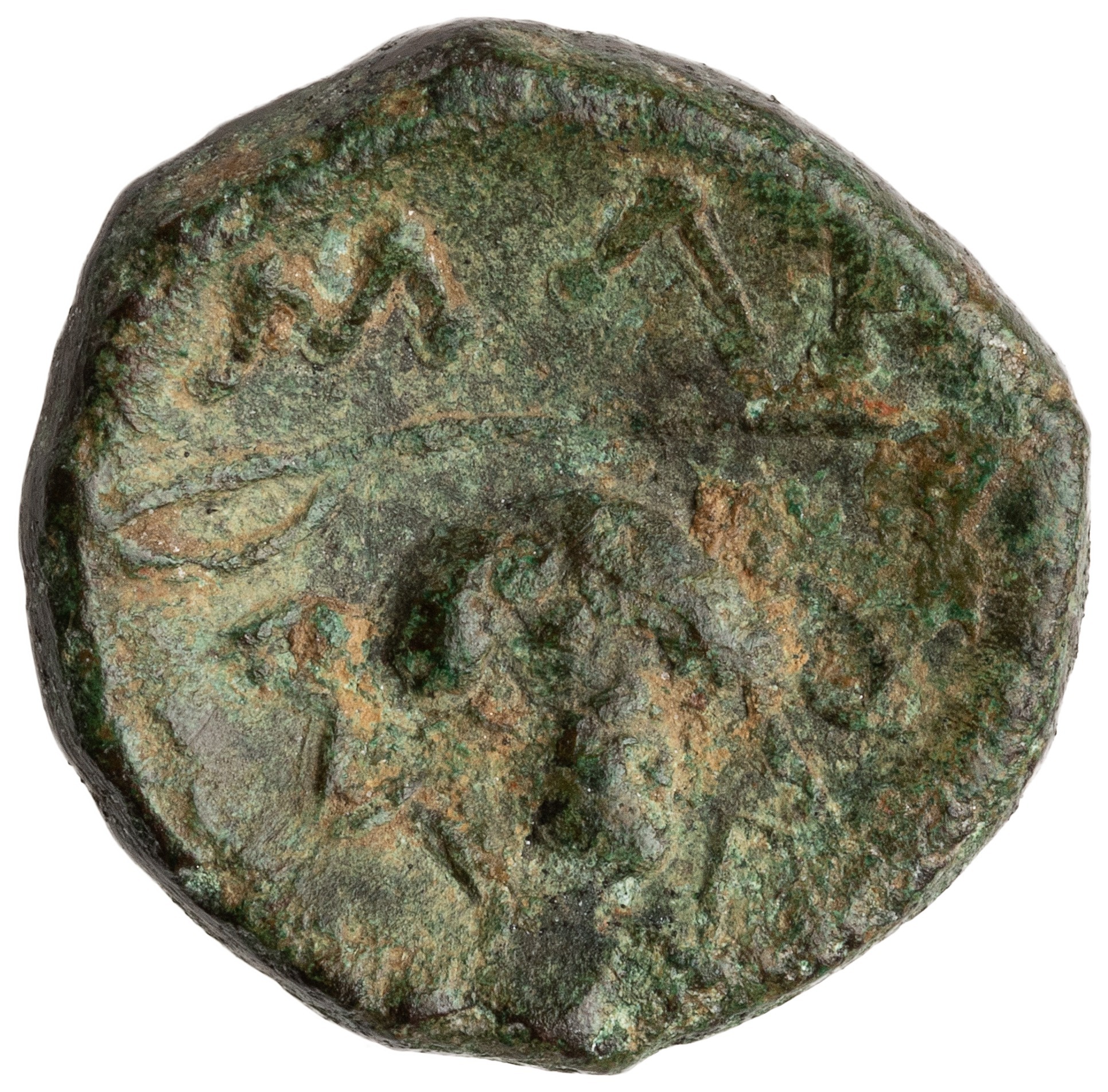reverse CN Type cn.maroneia.1_ed.258