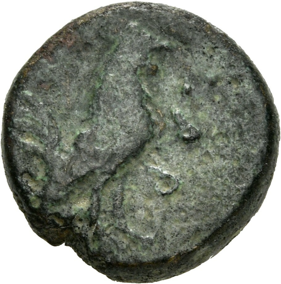reverse CN Type 3885