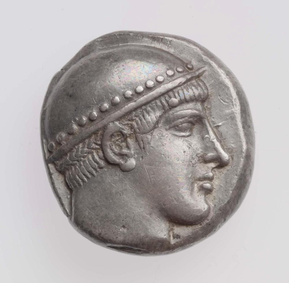 CN Type cn.aenus.1_ed.19, аверс, cn-coins