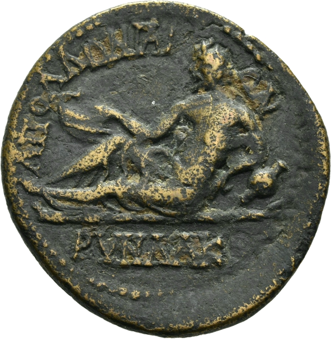 coin rev