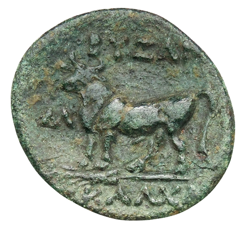 coin rev