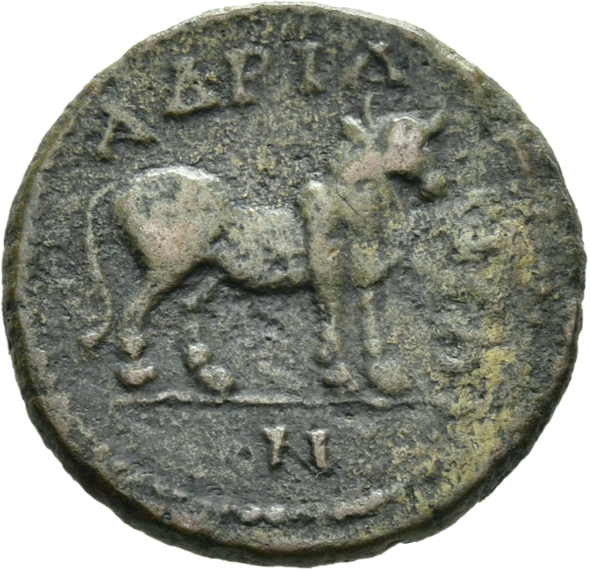 CN Type 19510, реверс, cn-coins