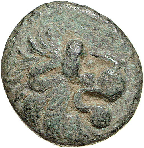 CN Type 12086, аверс, cn-coins