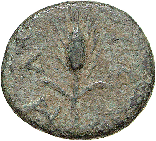 CN Type 12086, реверс, cn-coins