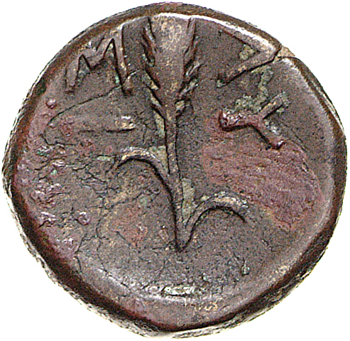 CN Type 12083, reverse, cn-coins