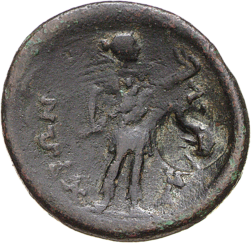 CN Type 12124, реверс, cn-coins