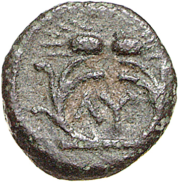 CN Type 12090, реверс, cn-coins