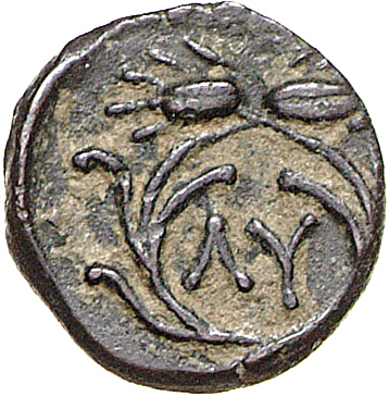 CN Type 12090, реверс, cn-coins