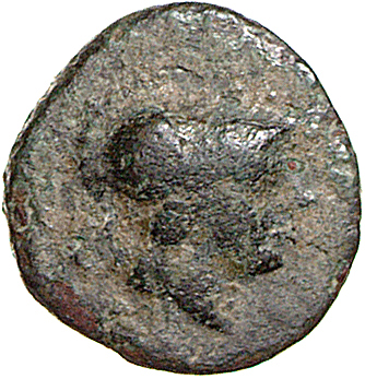 CN Type 12091, obverse, cn-coins