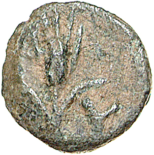 CN Type 12085, реверс, cn-coins