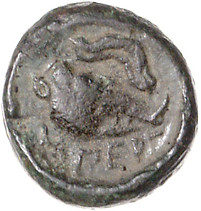coin rev
