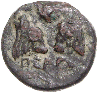 coin rev