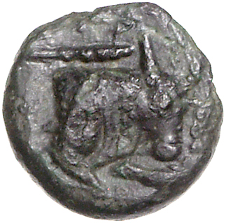 coin rev