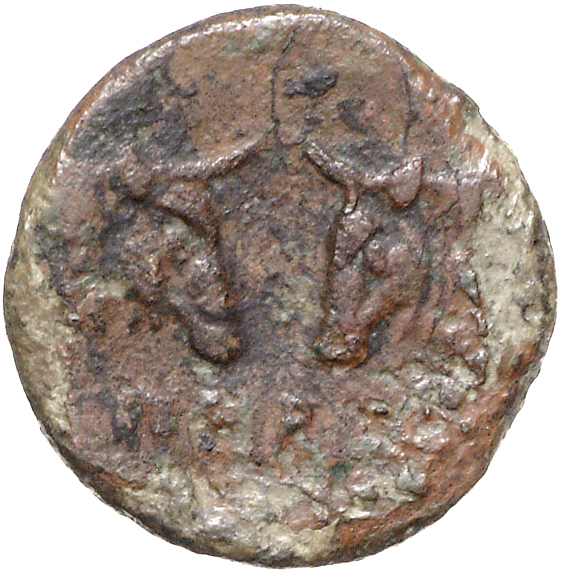 CN Type 11078, реверс, cn-coins