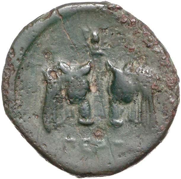 coin rev