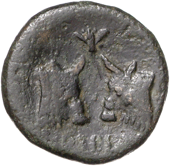 CN Type 11090, реверс, cn-coins
