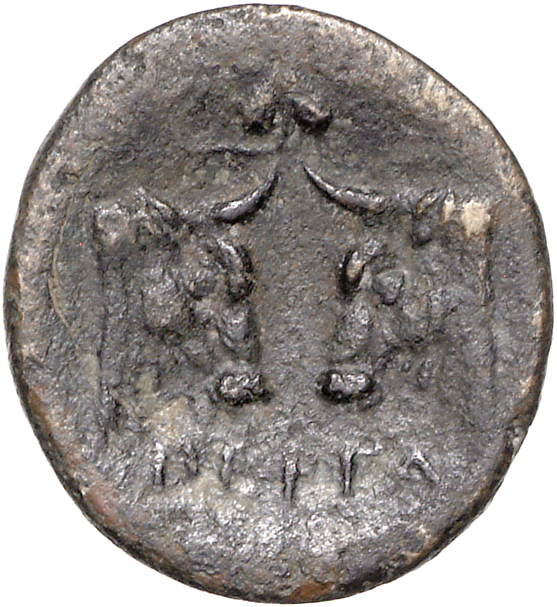 coin rev