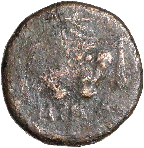 CN Type 11091, реверс, cn-coins