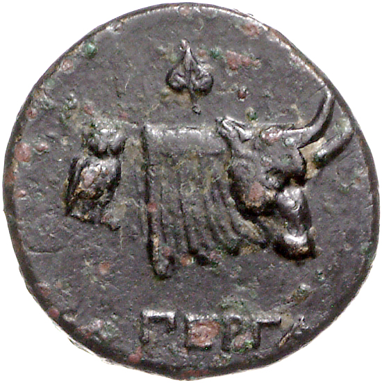 coin rev
