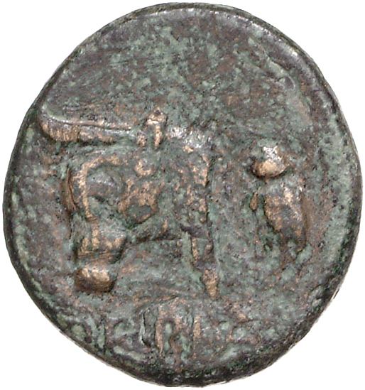 CN Type 11099, реверс, cn-coins