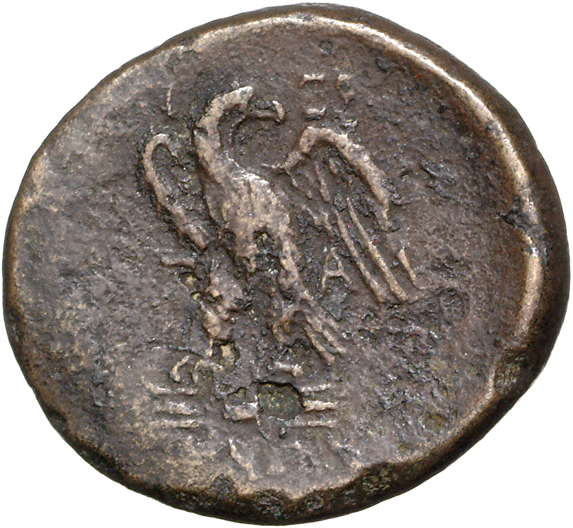 coin rev