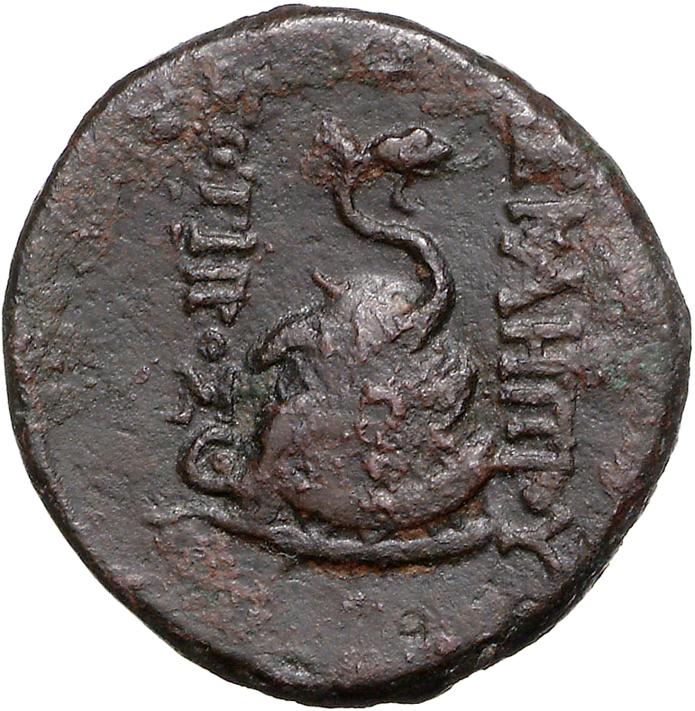 coin rev