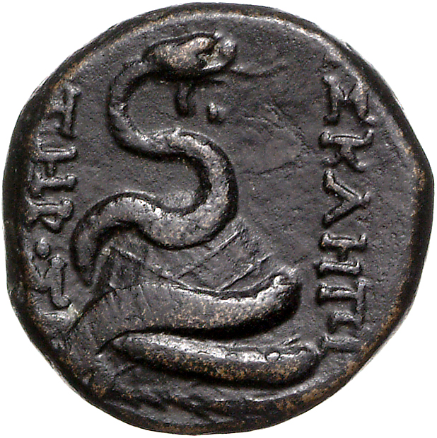 CN Type 11758, реверс, cn-coins