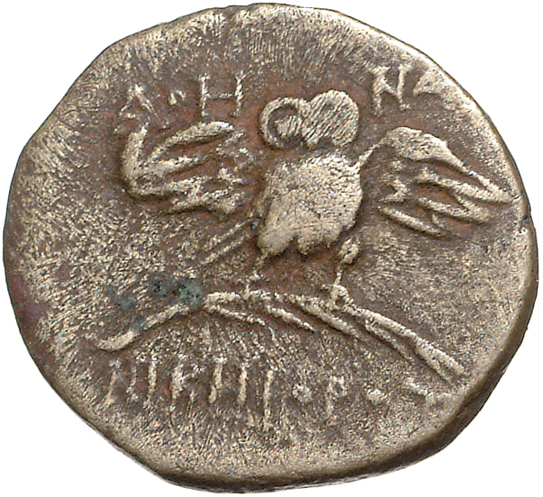CN Type 11884, реверс, cn-coins