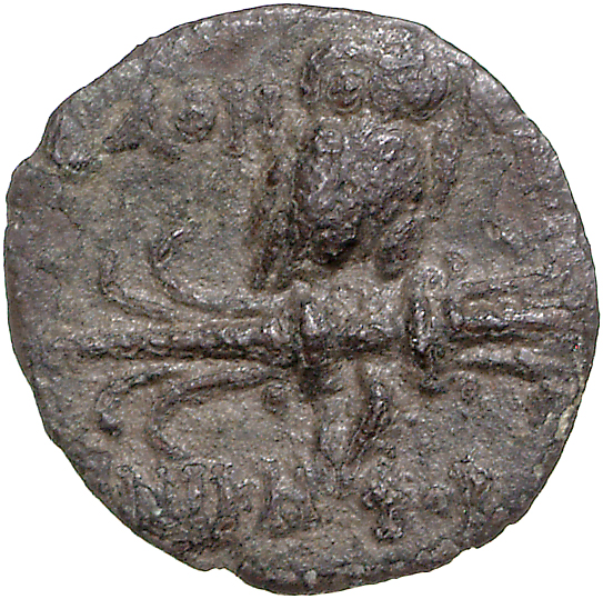 coin rev