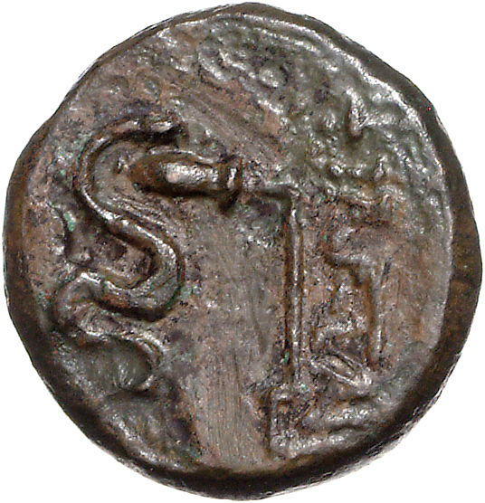 CN Type 11123, реверс, cn-coins