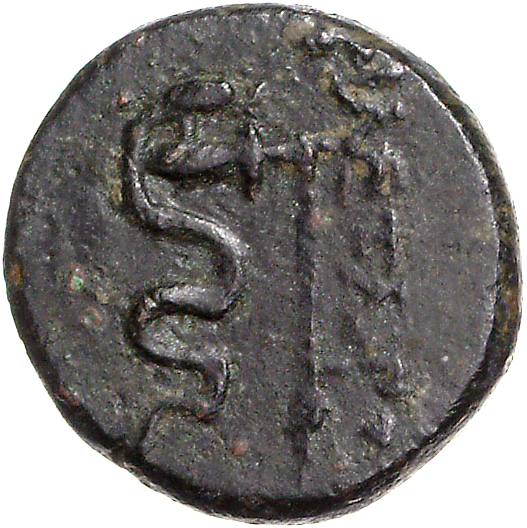 CN Type 11123, реверс, cn-coins