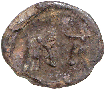 coin rev