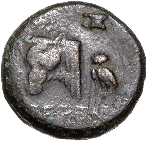 coin rev