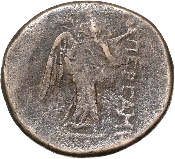 CN Type 11761, реверс, cn-coins