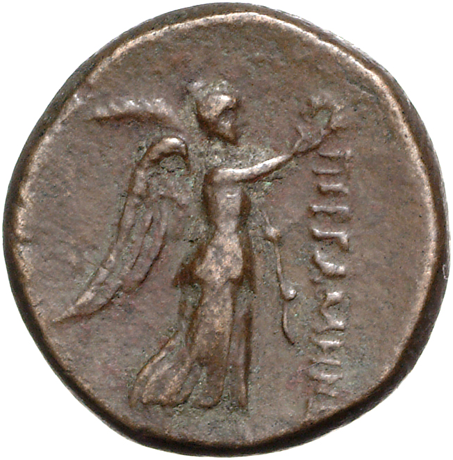 CN Type 11901, реверс, cn-coins