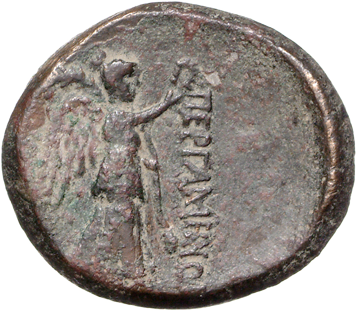 CN Type 11901, реверс, cn-coins