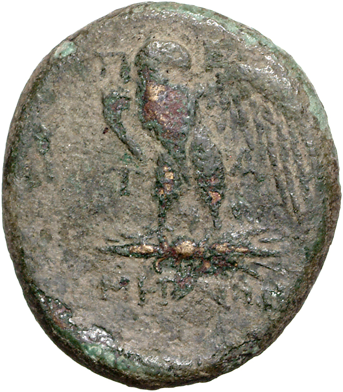 CN Type 11961, реверс, cn-coins