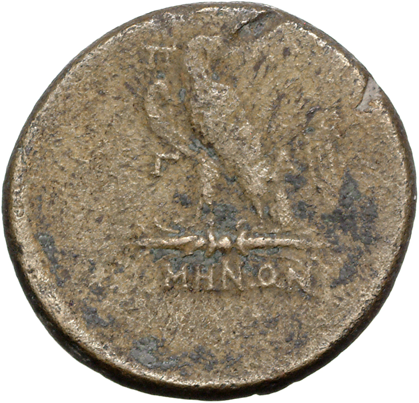 coin rev