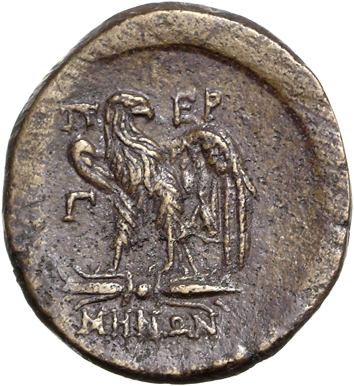 CN Type 11966, реверс, cn-coins